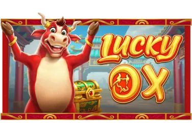 456bet7